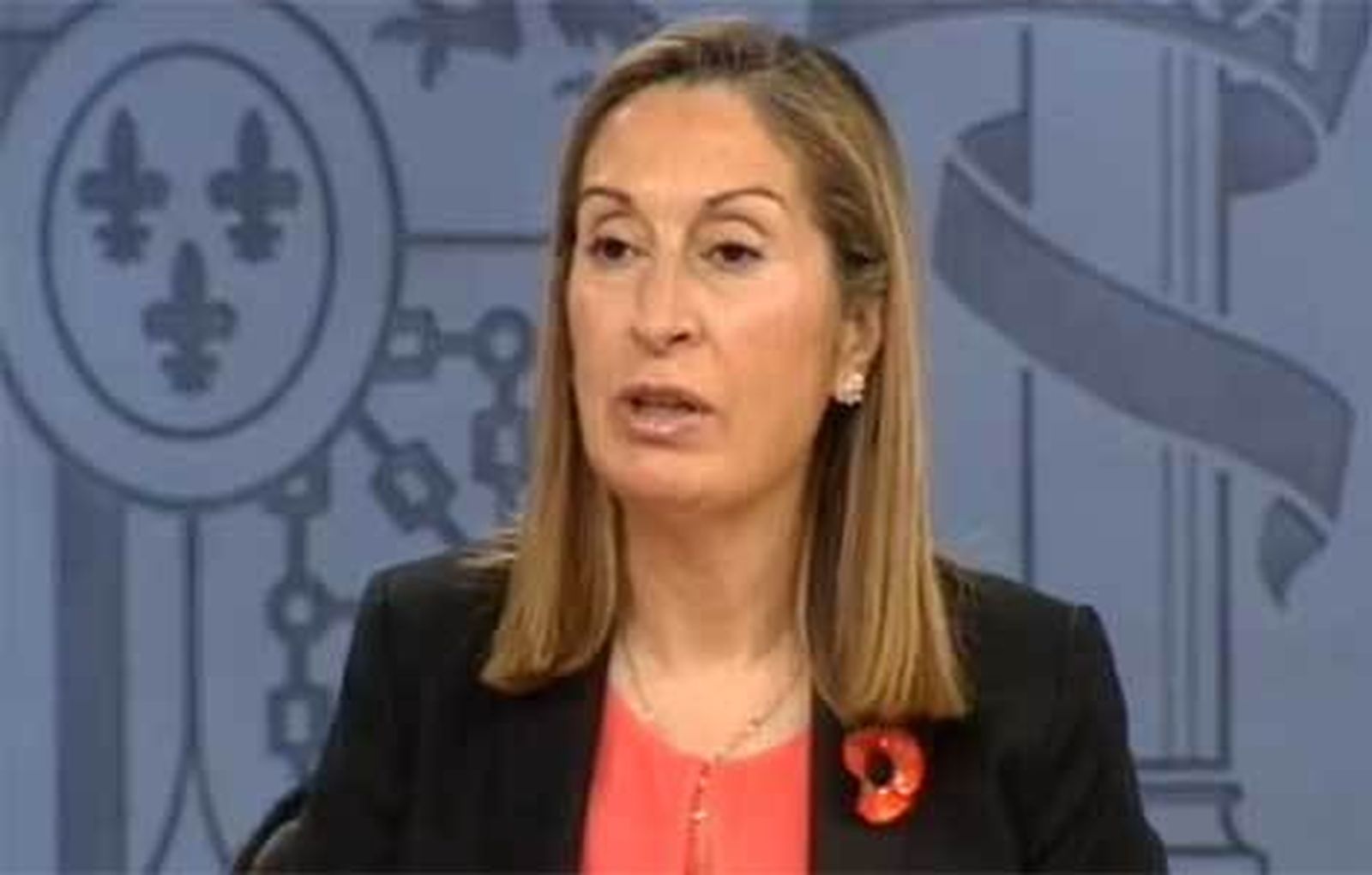 El Gobierno reforma la Ley de Ordenación del Transporte Terrestre