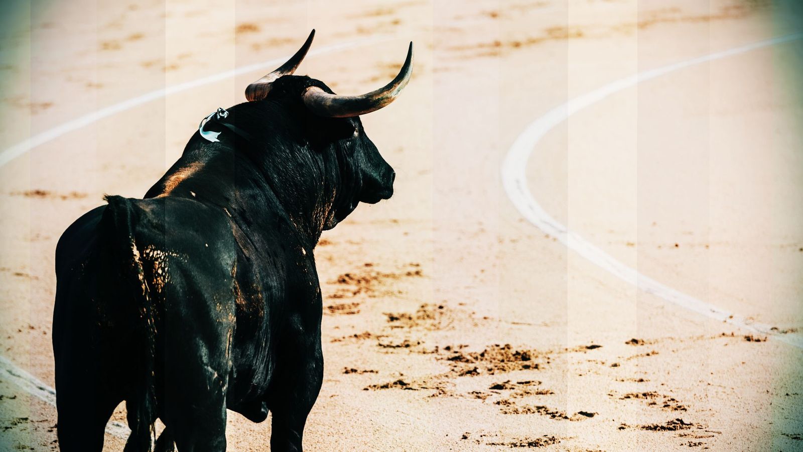 Aquí se han criado algunos de los toros que han salido a lidiar en Las Ventas