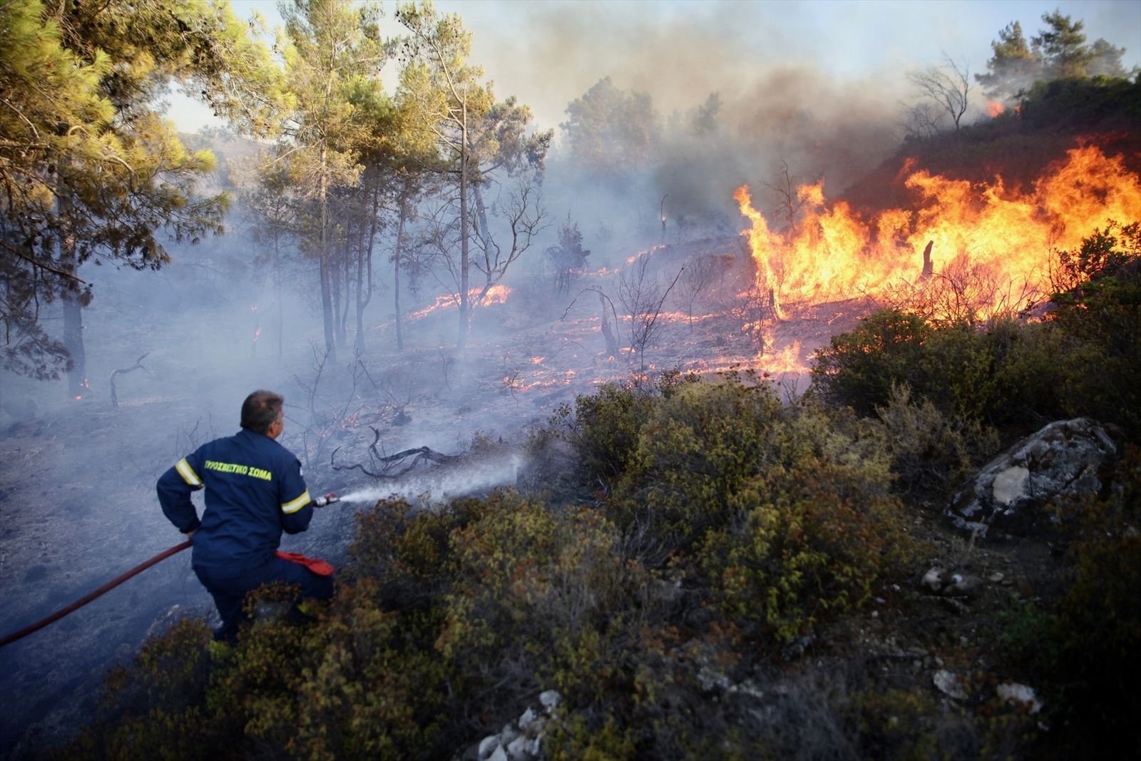 Comienzan las repatriaciones a turistas de Rodas por los incendios