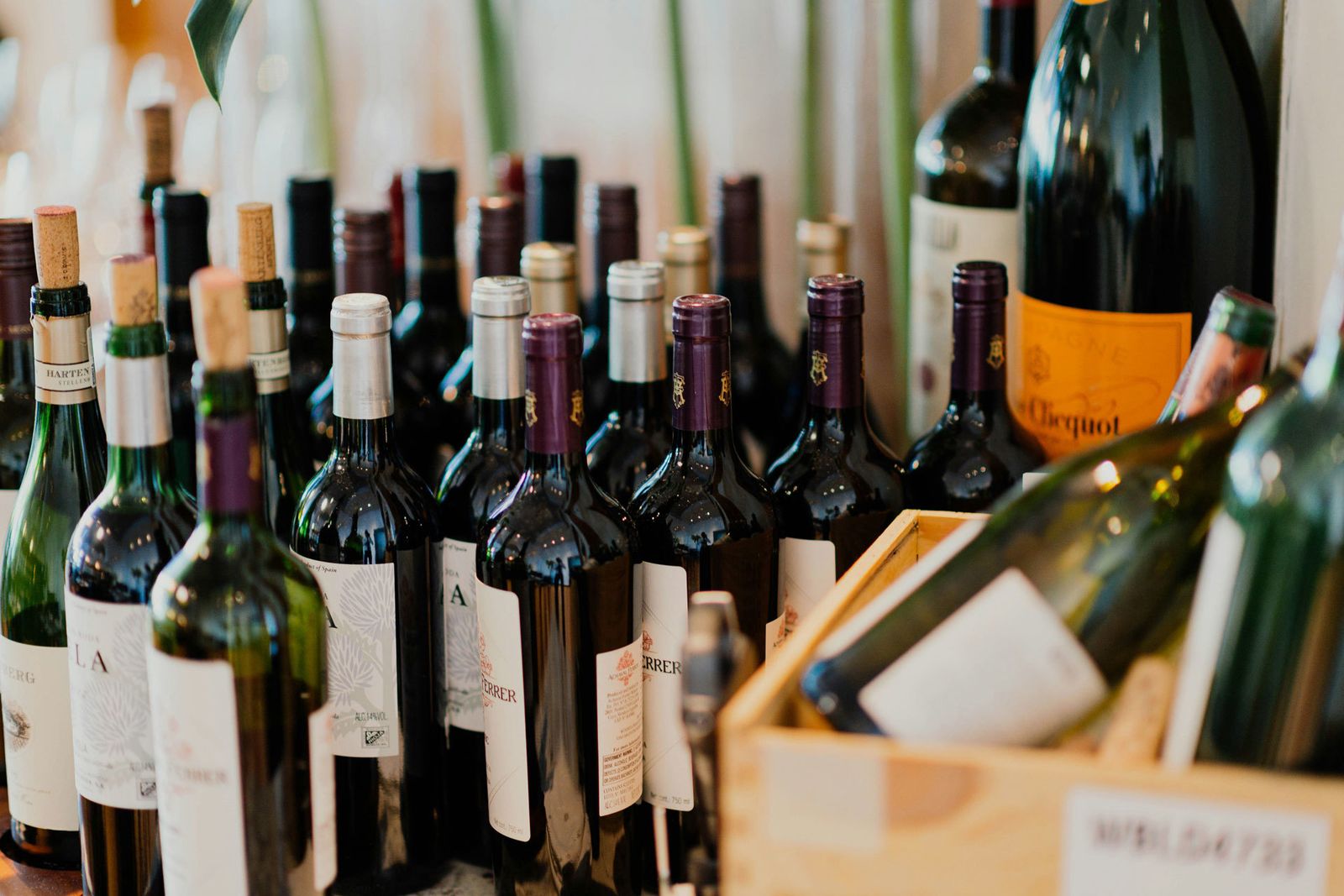 Botellas de vino