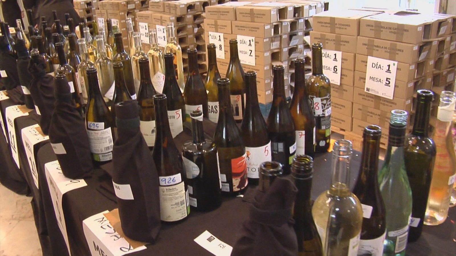 70 catadores decidirán entre 1.700 vinos cuál es el mejor del mundo en Bacchus 2025