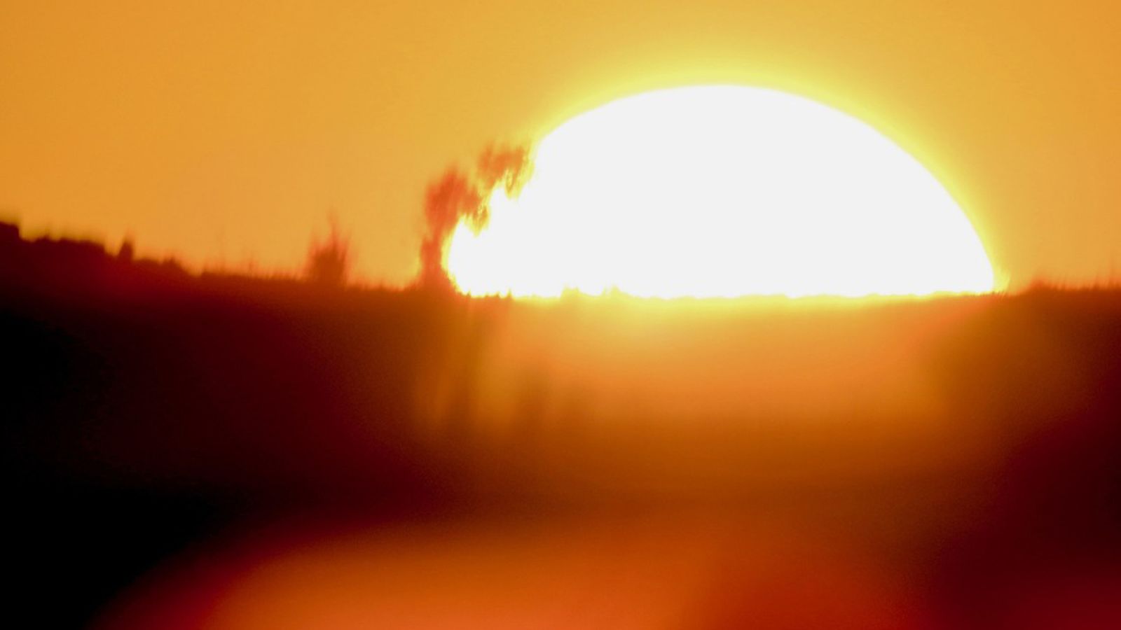 Calor