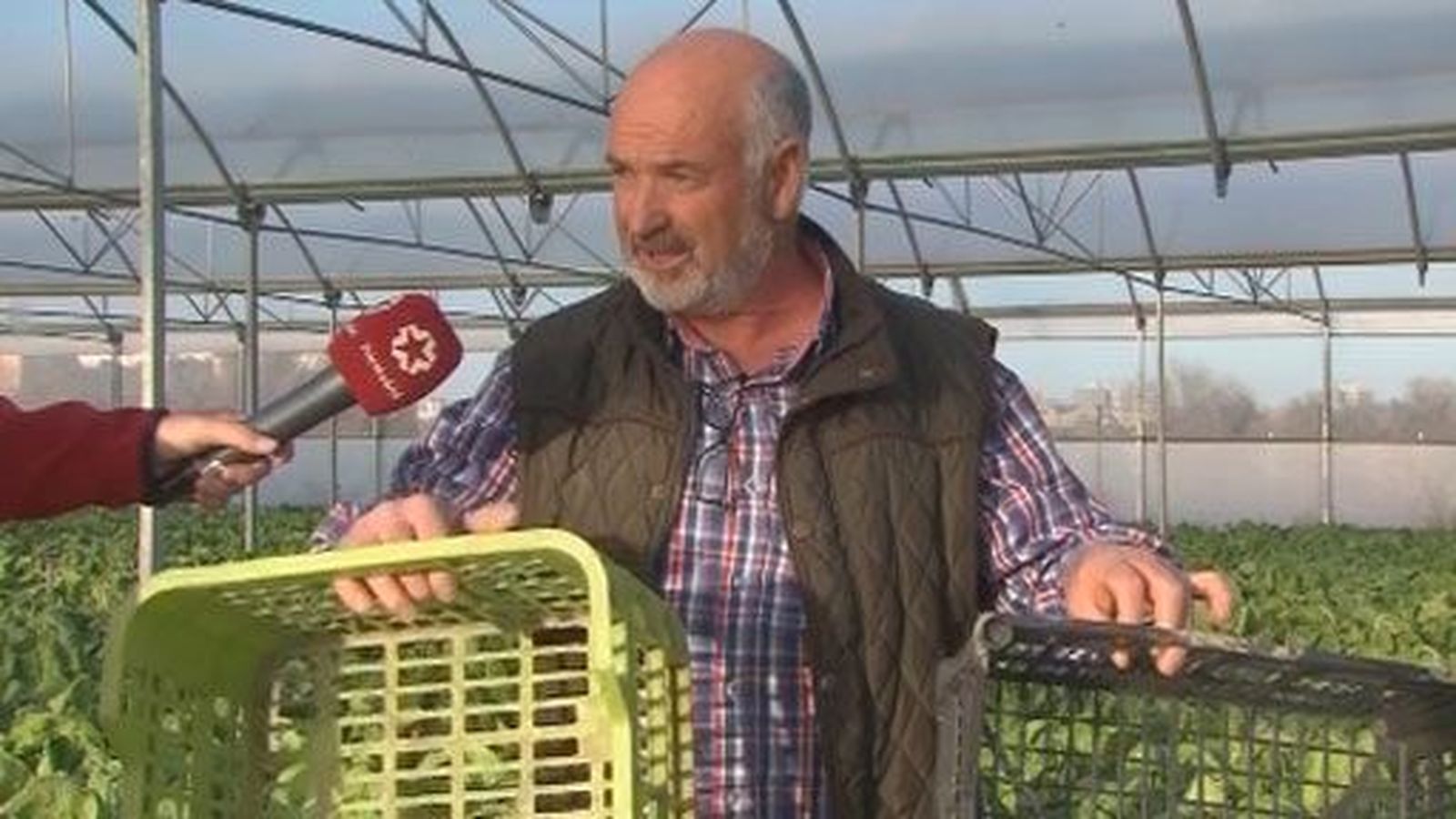 Los agricultores madrileños piden eliminar ya los envases de plástico de un solo uso