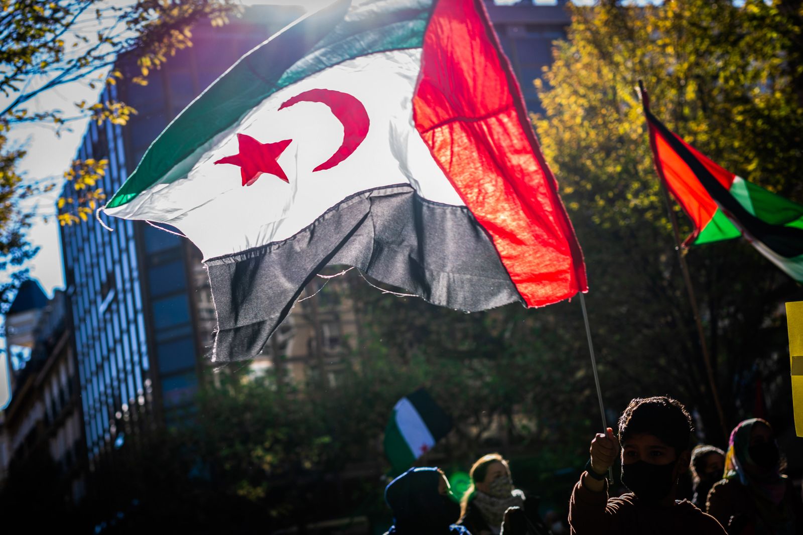 Un niño ondea la bandera del Sáhara Occidental durante una manifestación en apoyo del Frente Polisario