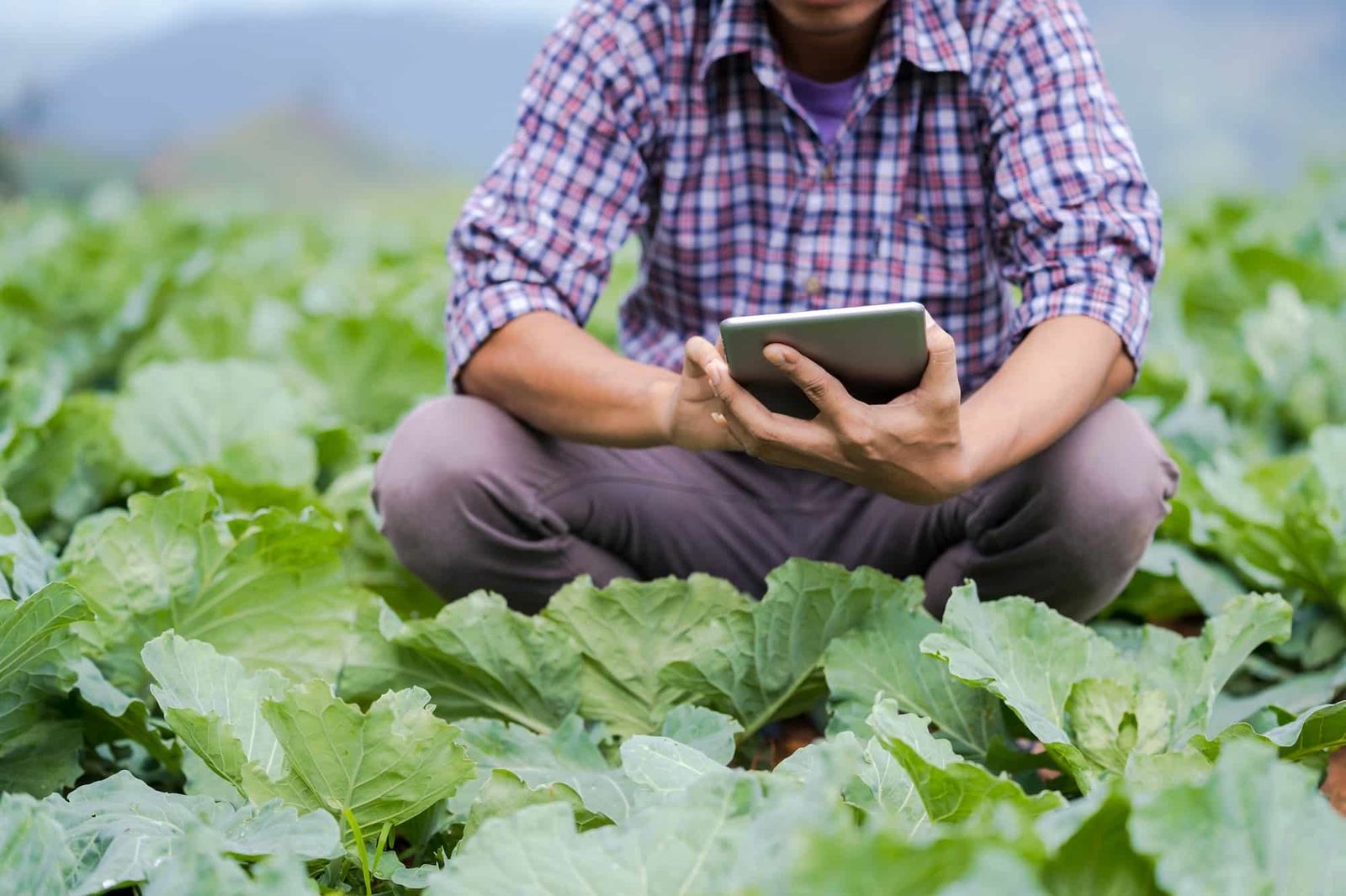 El Ministerio de Agricultura convoca 16 plazas para Ingenieros Técnicos Agrícolas