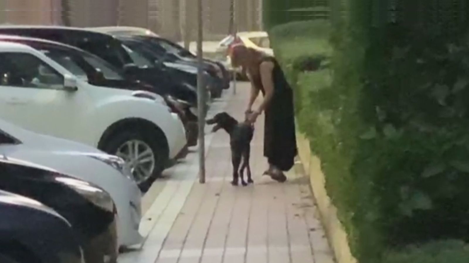 Vecinos de Móstoles denuncian a una pareja por maltratar a su perro