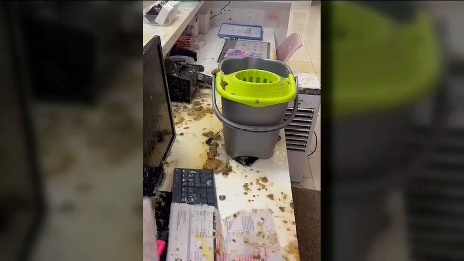 Lluvia de excrementos en Moratalaz
