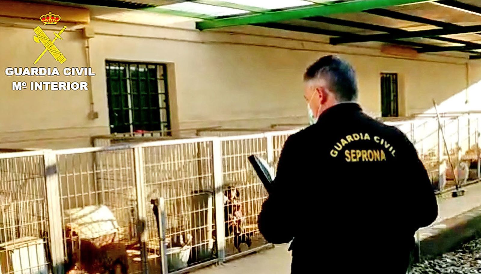 El Seprona rescata cerca de 500 perros de distintas razas