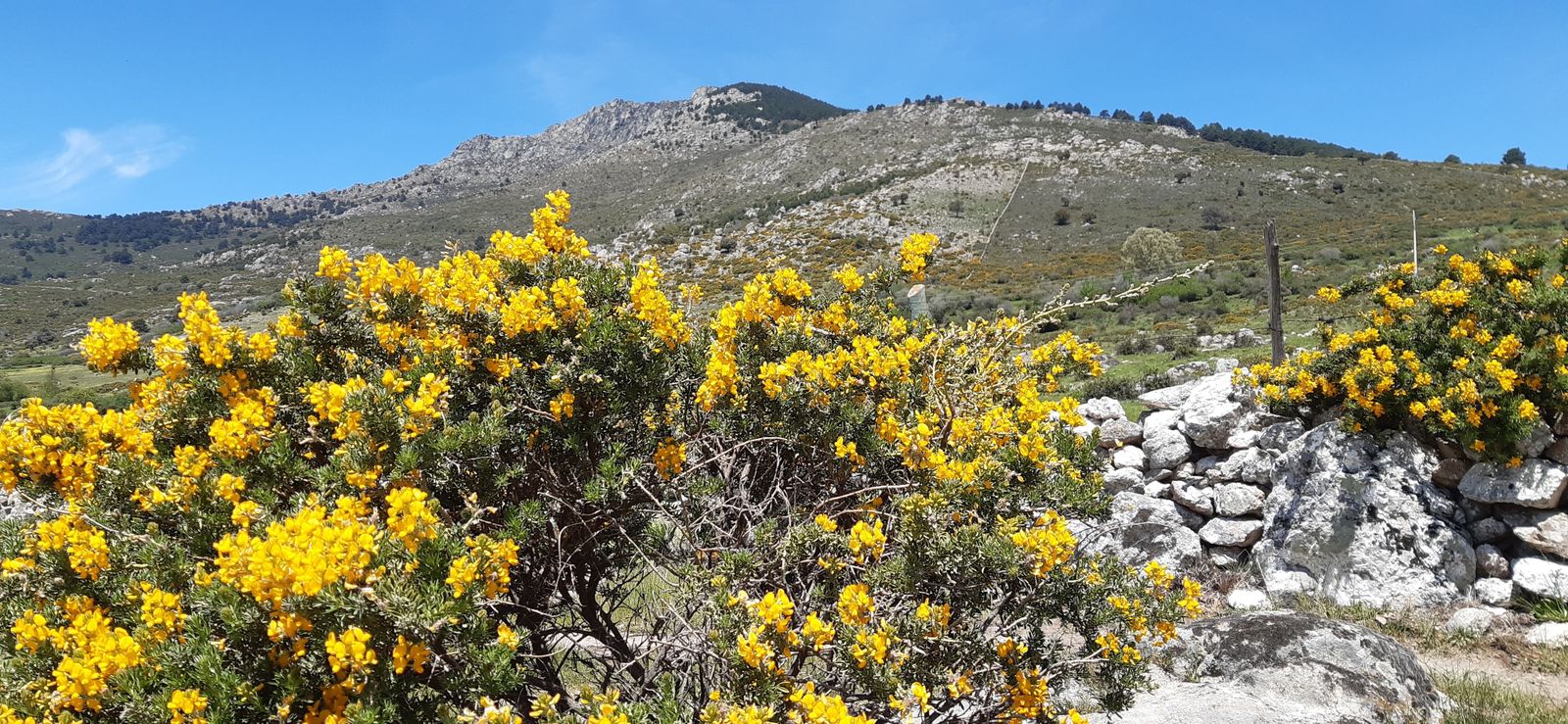 Cambroños en Los Molinos, con la Peñota al fondo