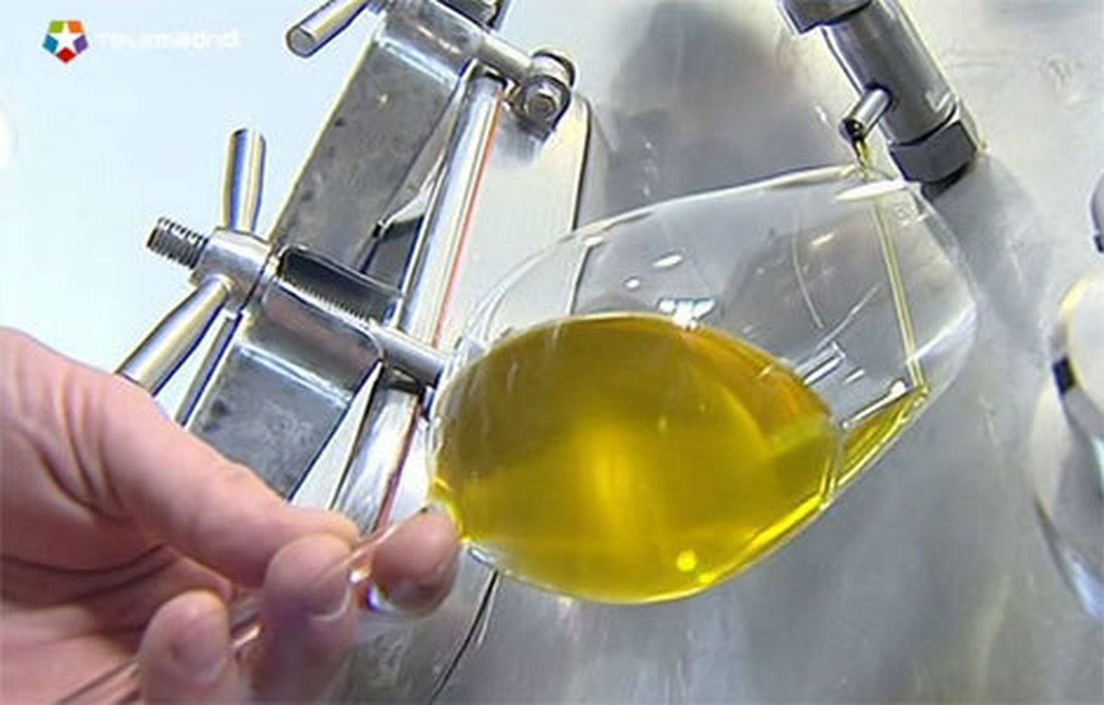 Aceite de oliva, un producto al alza