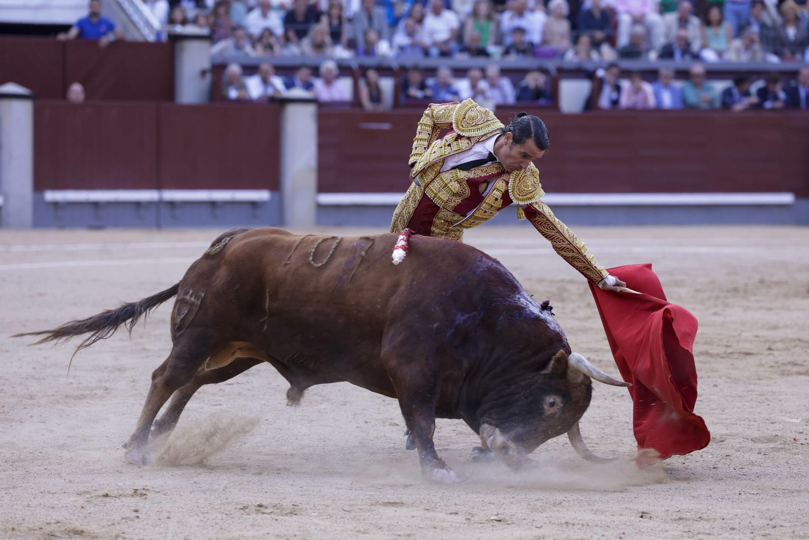 Uceda Leal en el 25º festejo de la Feria de San Isidro