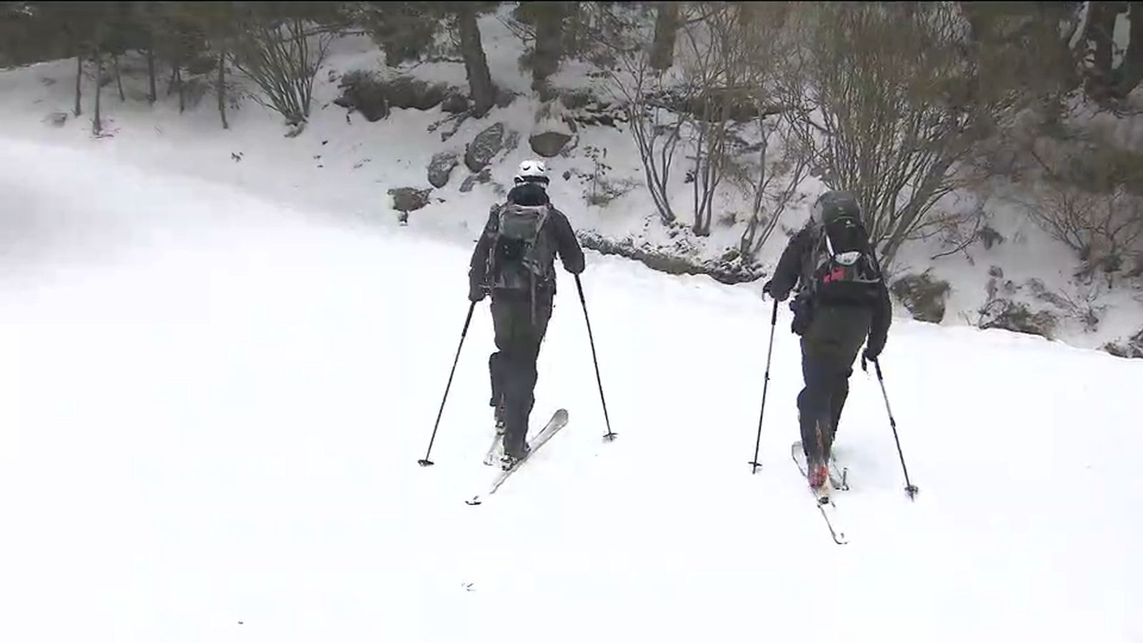 Catas estado de la nieve