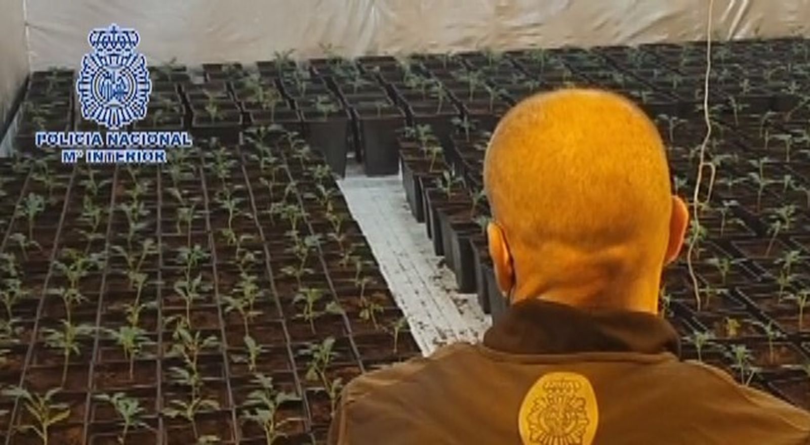 Operación antidroga en Mejorada del Campo