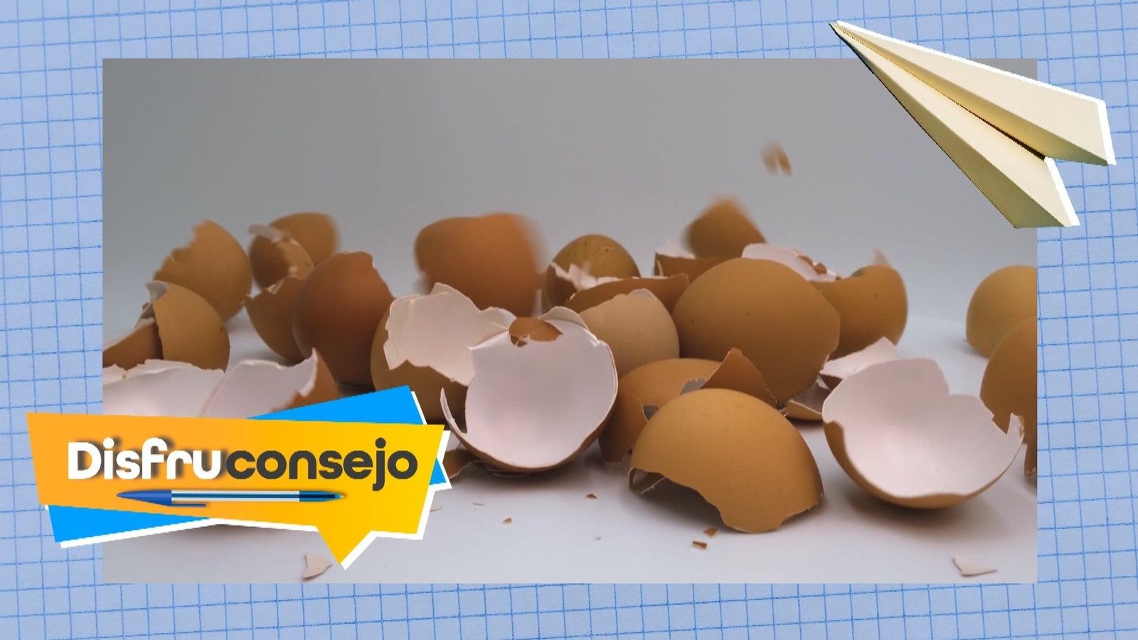 Las cáscaras de huevo son ideales para regar las plantas