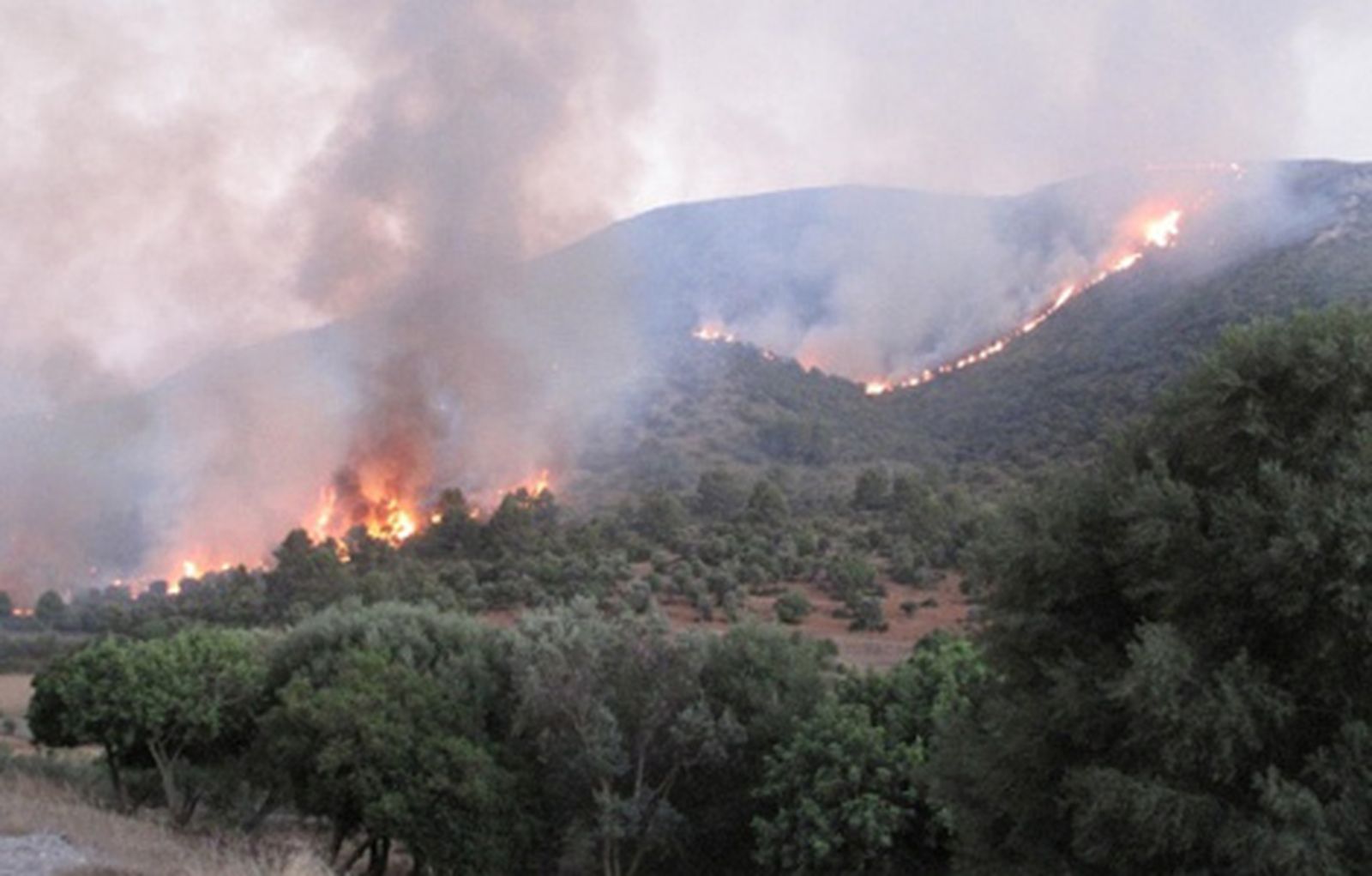 incendio_mallorca_arta