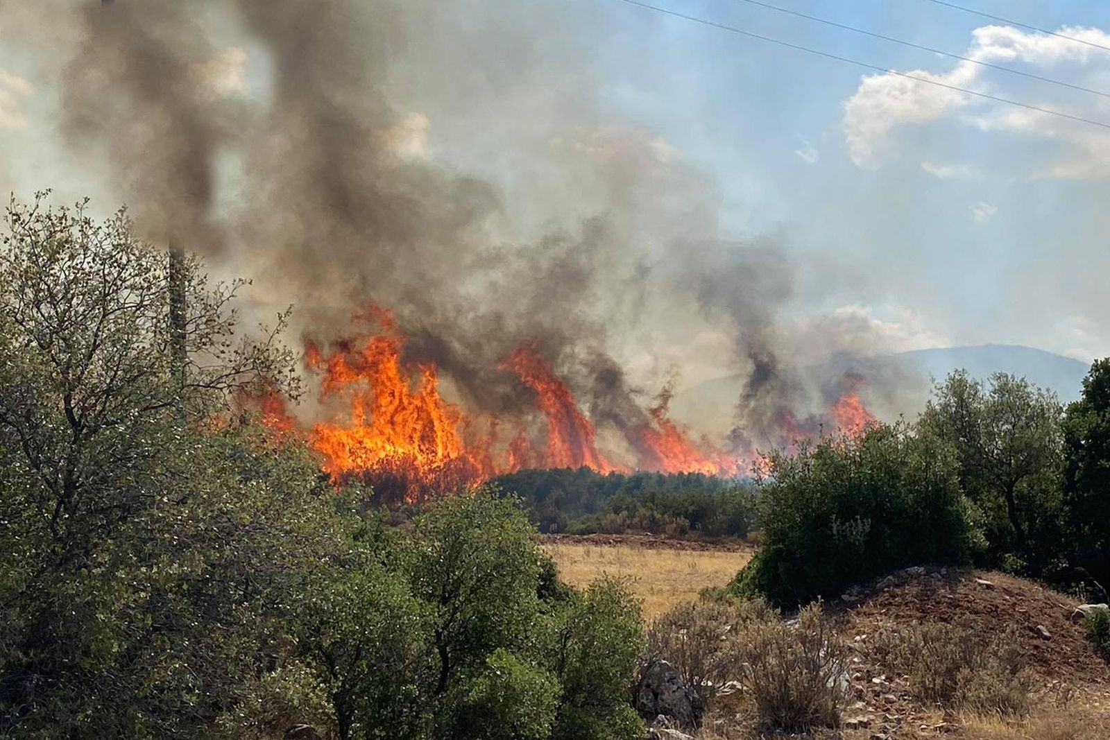 Numerosos incendios asolan Grecia