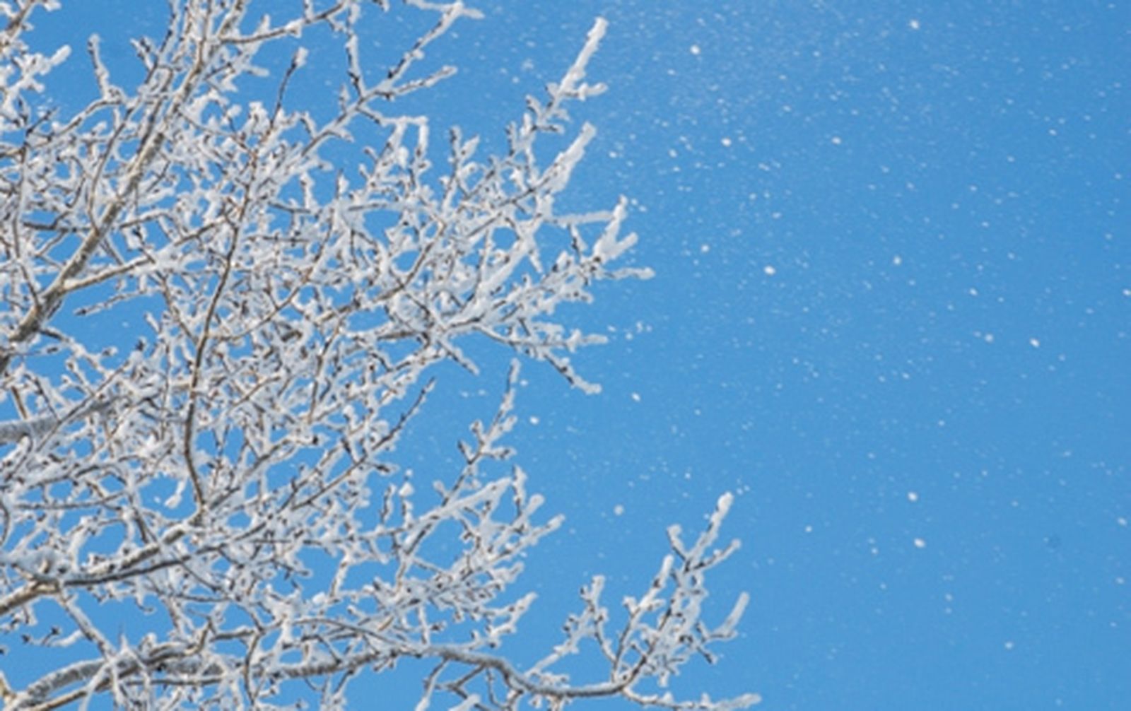 hielo_nieve470