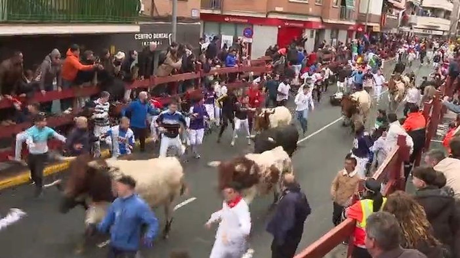 Nueve heridos leves en el segundo 'Encierro Blanco' de San Sebastián de los Reyes