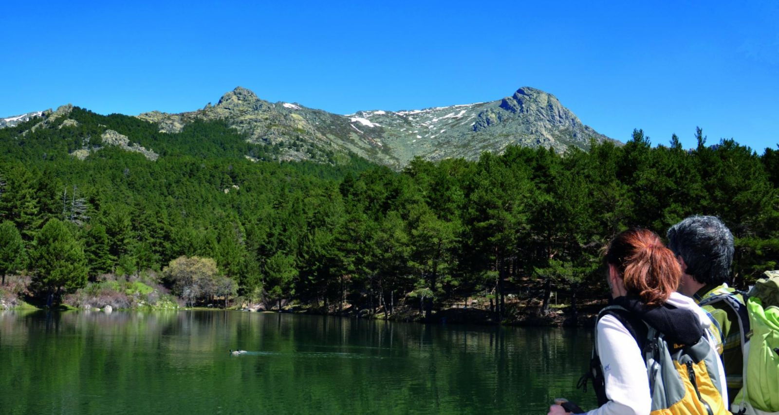 La Comunidad ofrece más de 200 actividades gratuitas y visitas guiadas al Parque de Guadarrama en agosto