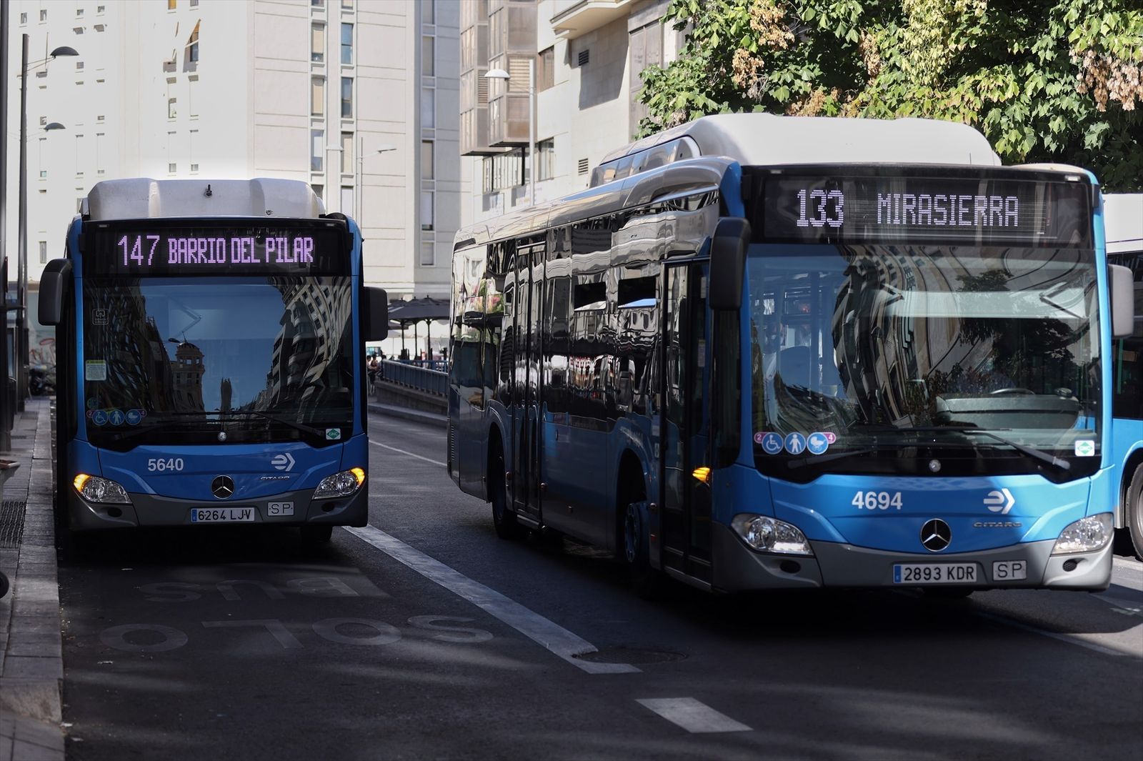 Autobuses de la EMT