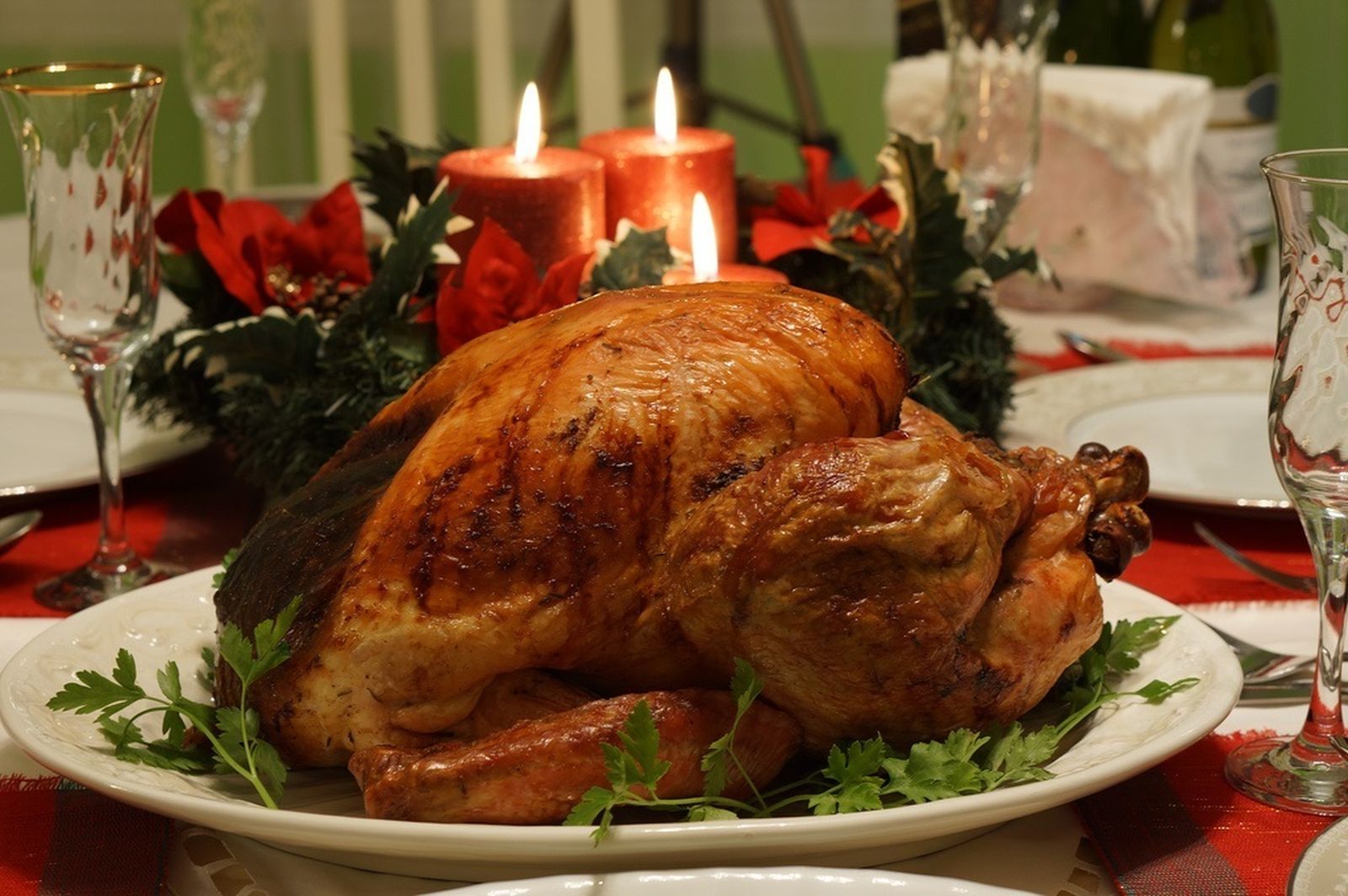 Pavo Acción de Gracias