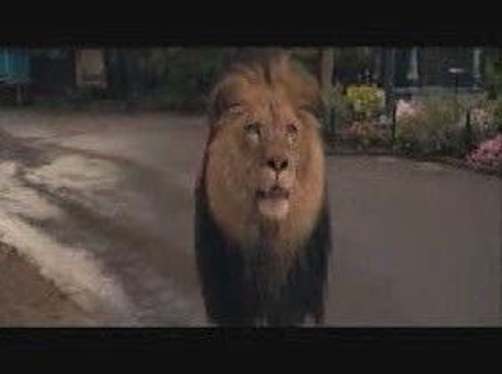 UN ZOO CON ANIMALES QUE TIENEN MUCHO QUE DECIR