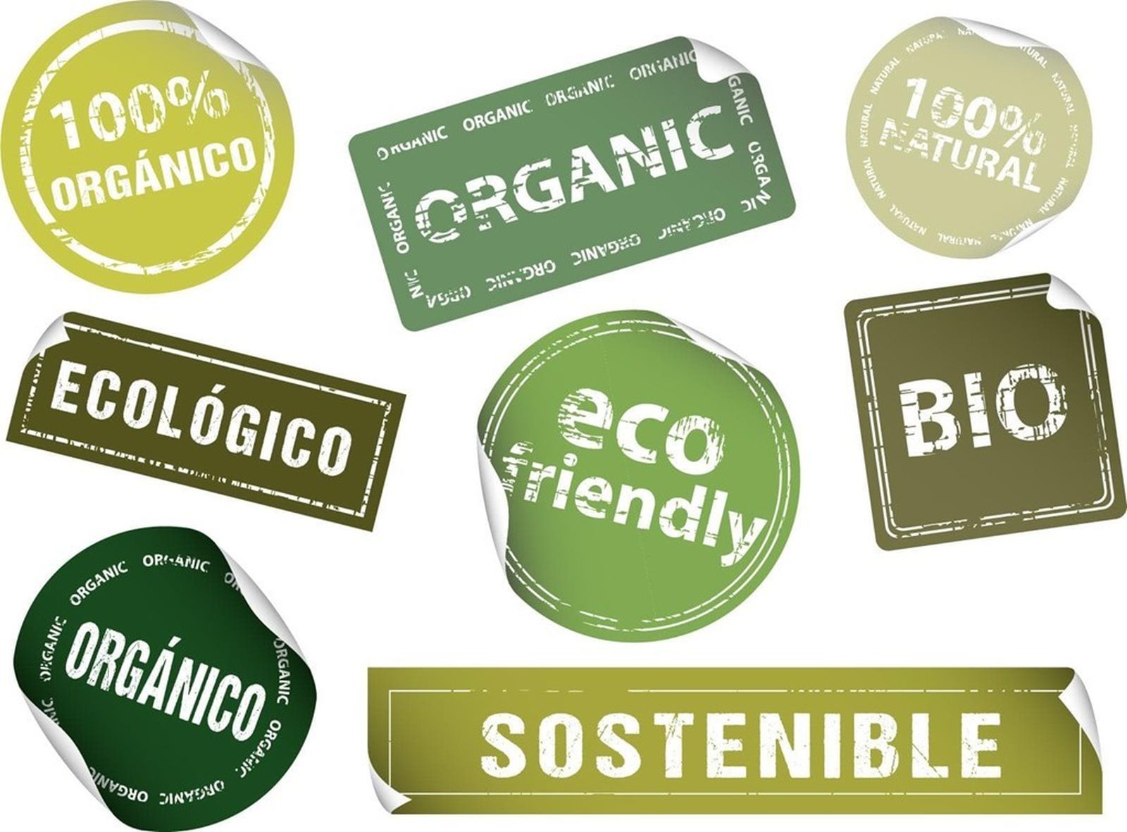 ECOLOGIA DE ANDAR POR CASA_20201020125901.xml
