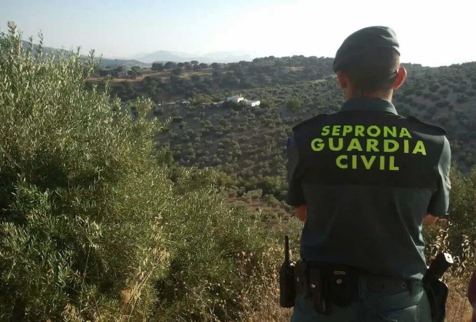 Guardia Civil