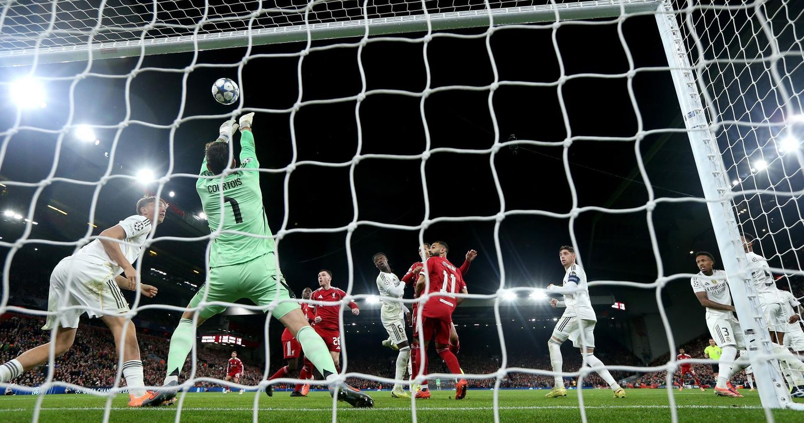 Courtois