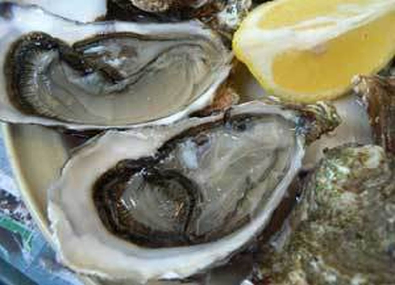 Plato de ostras