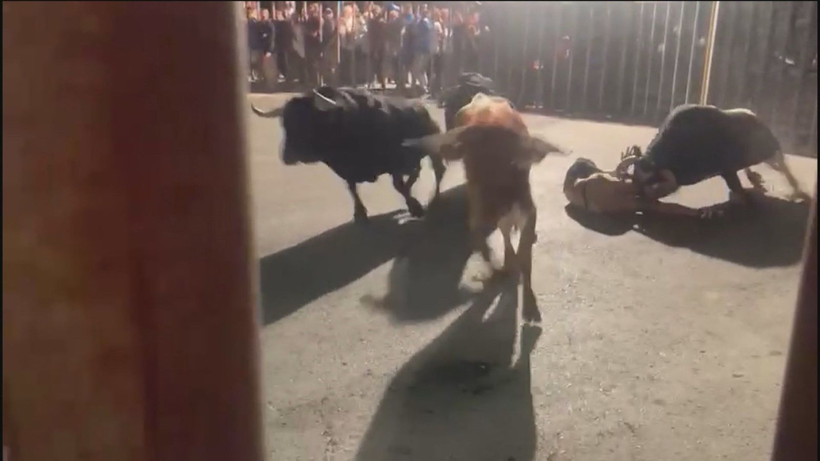 Grave cogida en los encierros de El Álamo, con un joven operado de urgencia