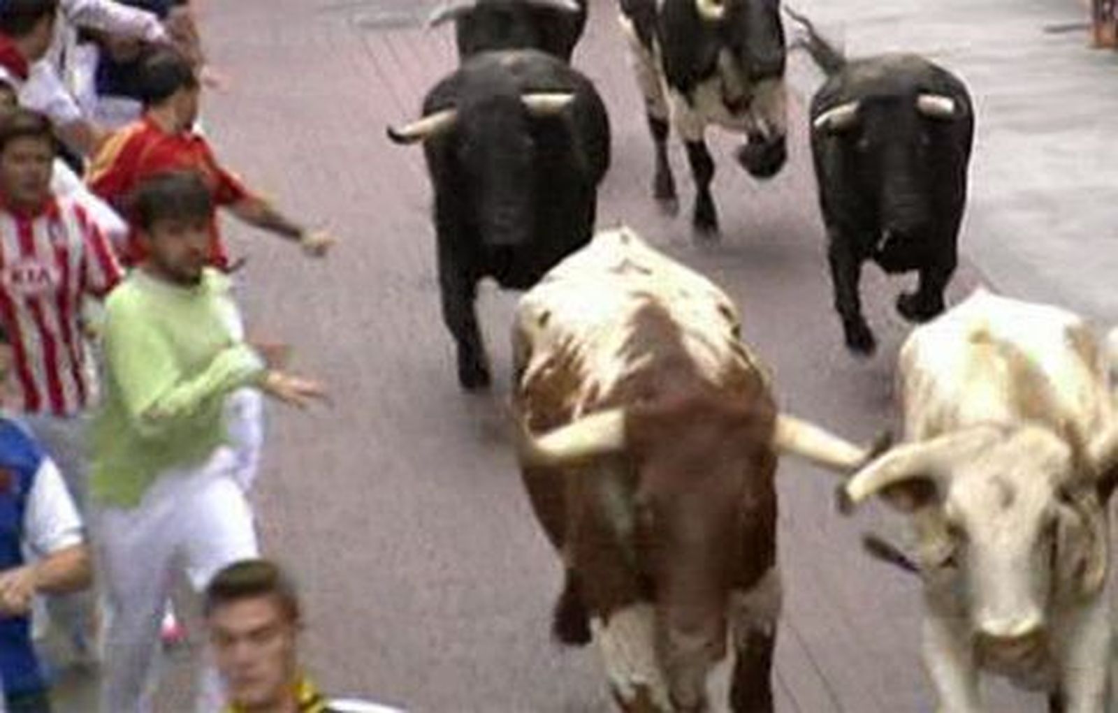 Tercer encierro muy rápido en San Sebastián de los Reyes con un contusionado