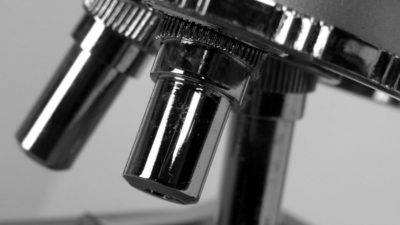 ciencia123