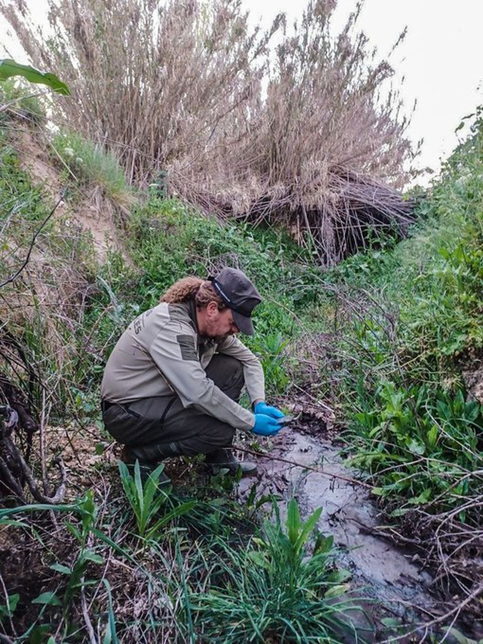Agente forestal toma muestras tras un vertido