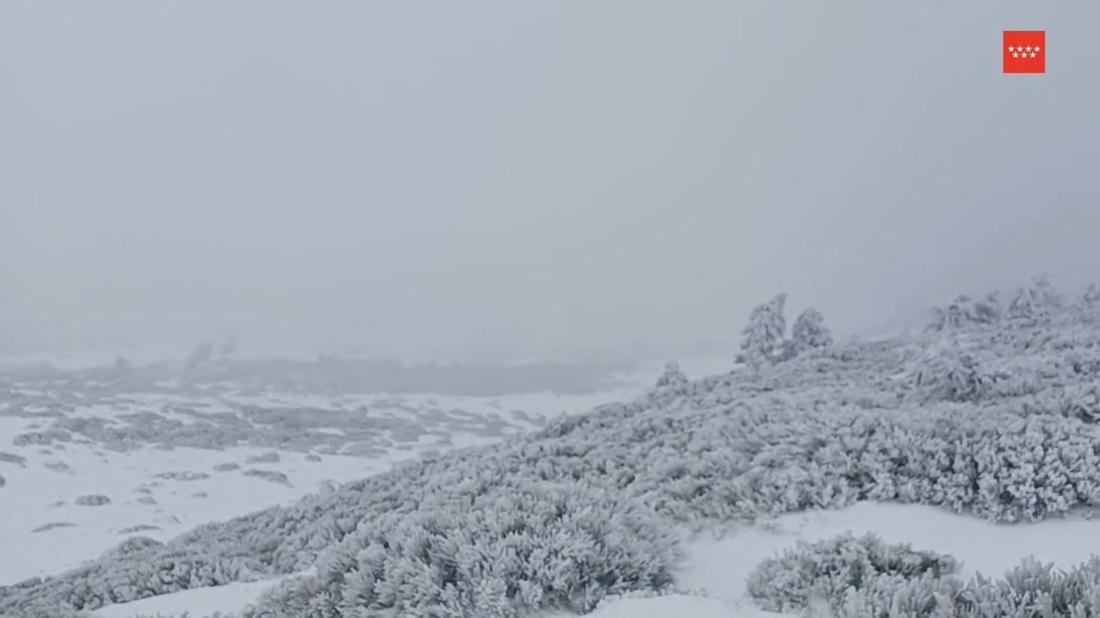 Estado de la nieve en el entorno de Peñalara