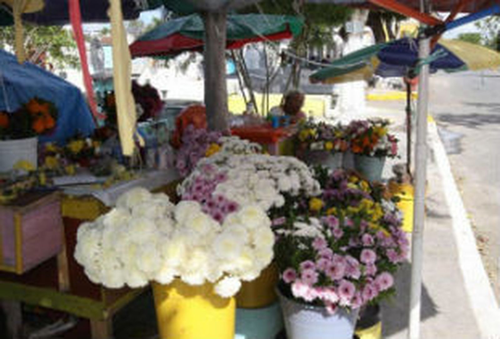 Los comerciantes piden controles que detecten la venta ilegal de flores