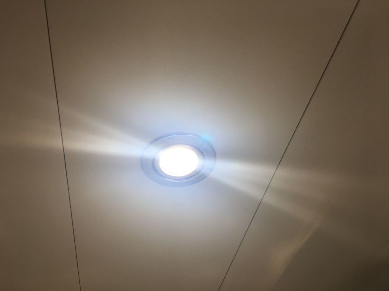 Luz