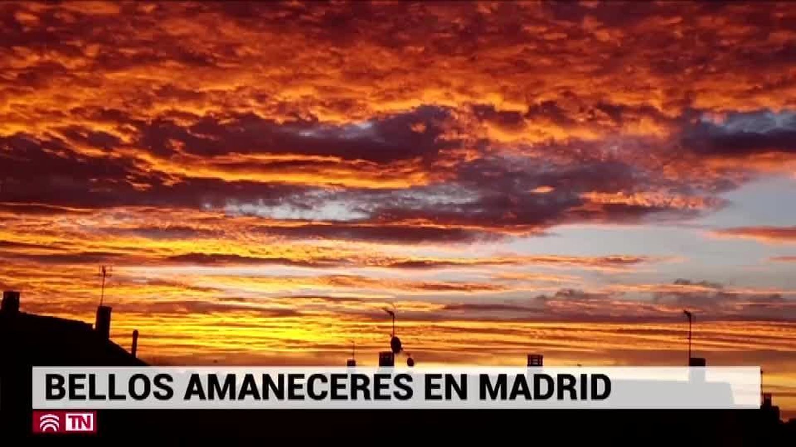 El Tiempo 29.02.2020