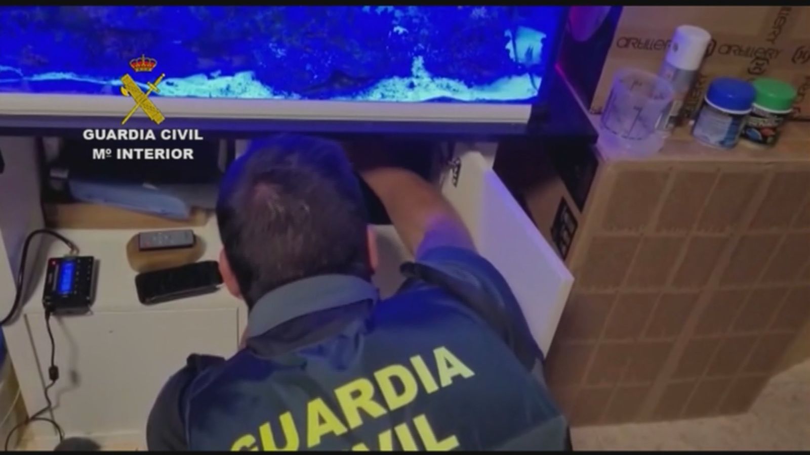 Registro de la Guardia Civil en la vivienda de la mujer detenida en El Alamo