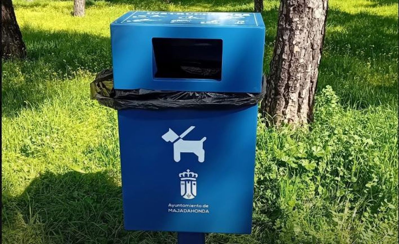 Sanecanes en Majadahonda