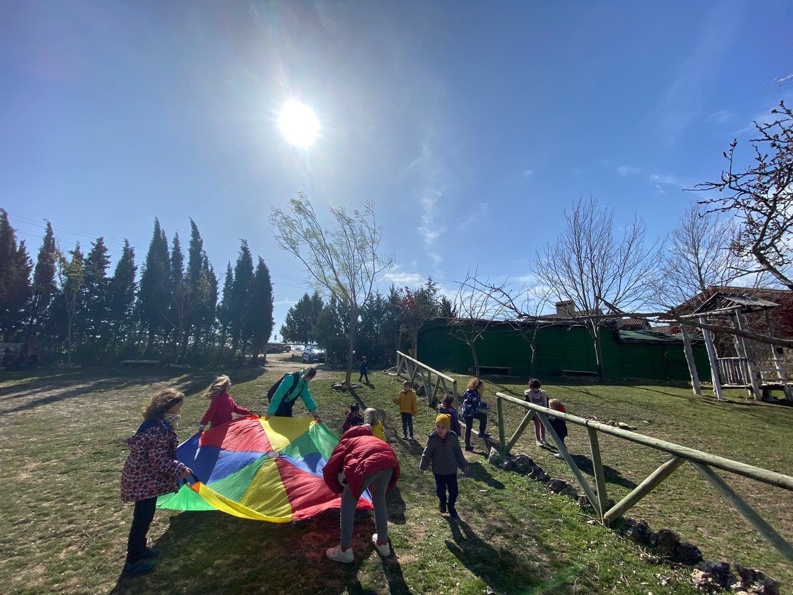 Actividad de GALEHI