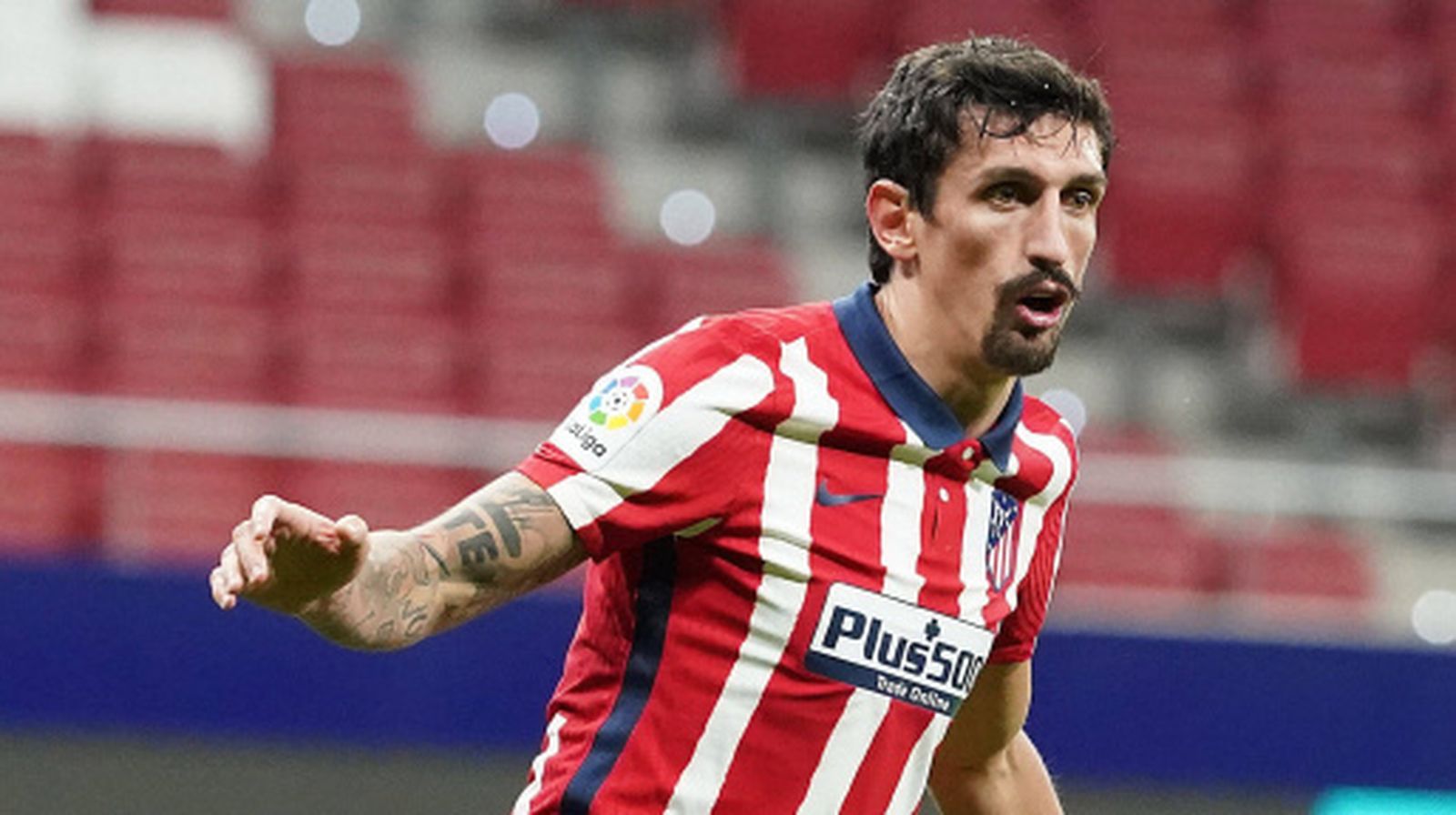 Savic