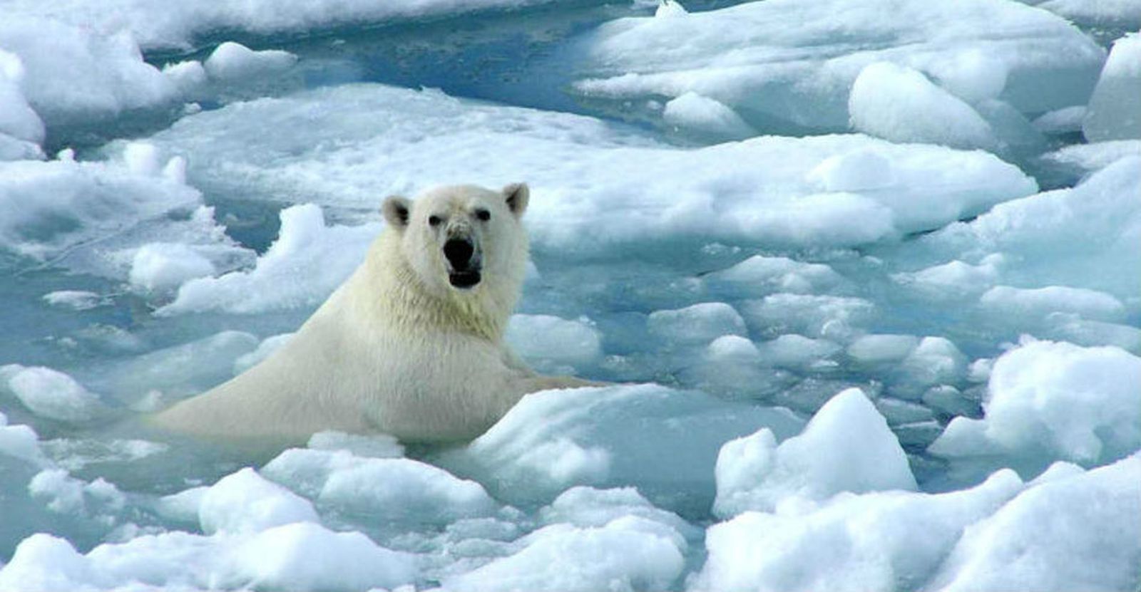 El cambio climático costará cinco veces más de lo previsto hasta 2050