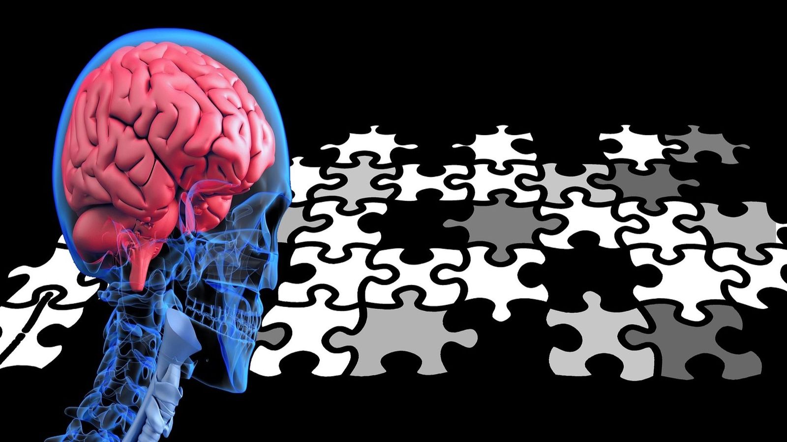 Actividades para prevenir el Alzhéimer, en un centro de día de Pozuelo de Alarcón