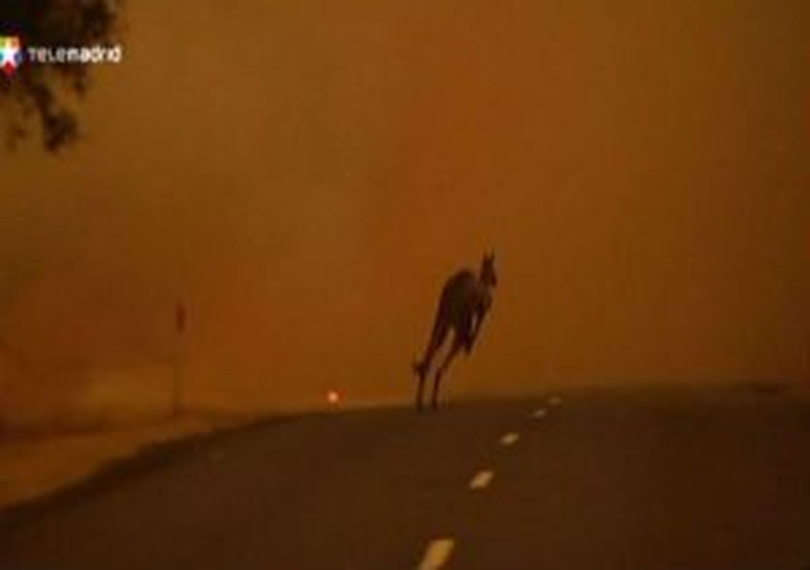 El fuego arrasa más de 100.000 hectáreas en Australia