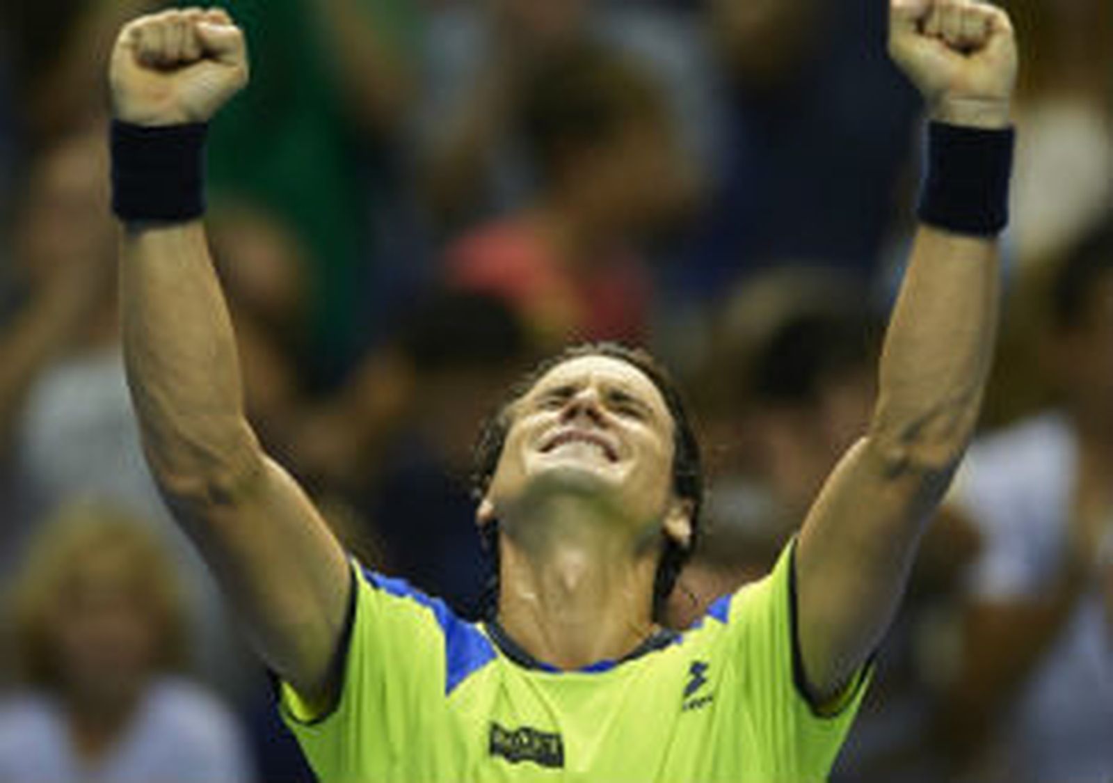 David Ferrer
