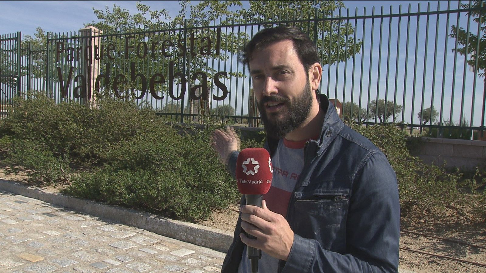 El parque forestal de Valdebebas recupera a 'Felipe VI'