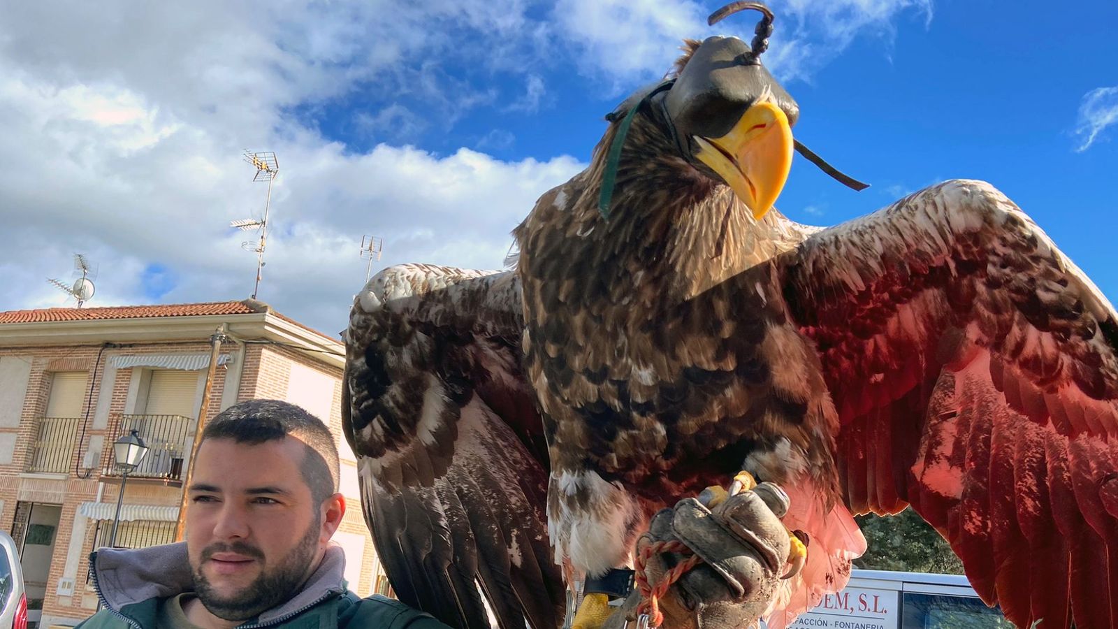 San Antón bendice en Aldea del Fresno a los animales del Safari Madrid