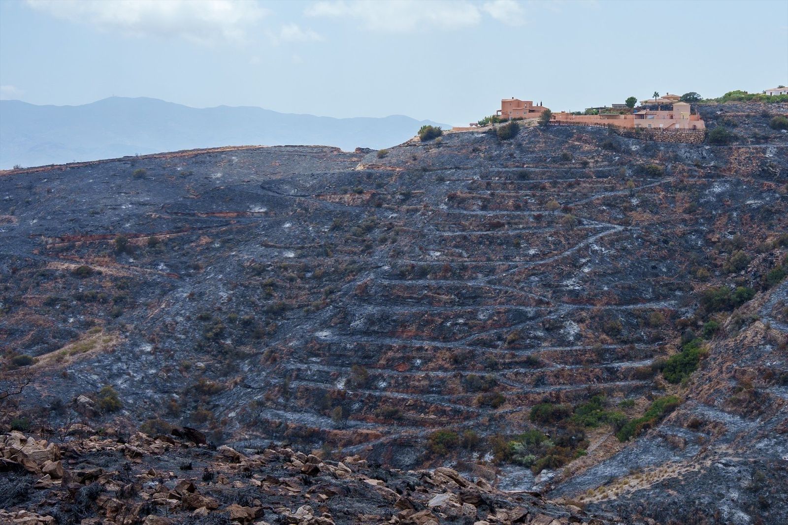 El incendio de Los Gallardos (Almería) no avanza y la perspectiva de estabilización es favorable