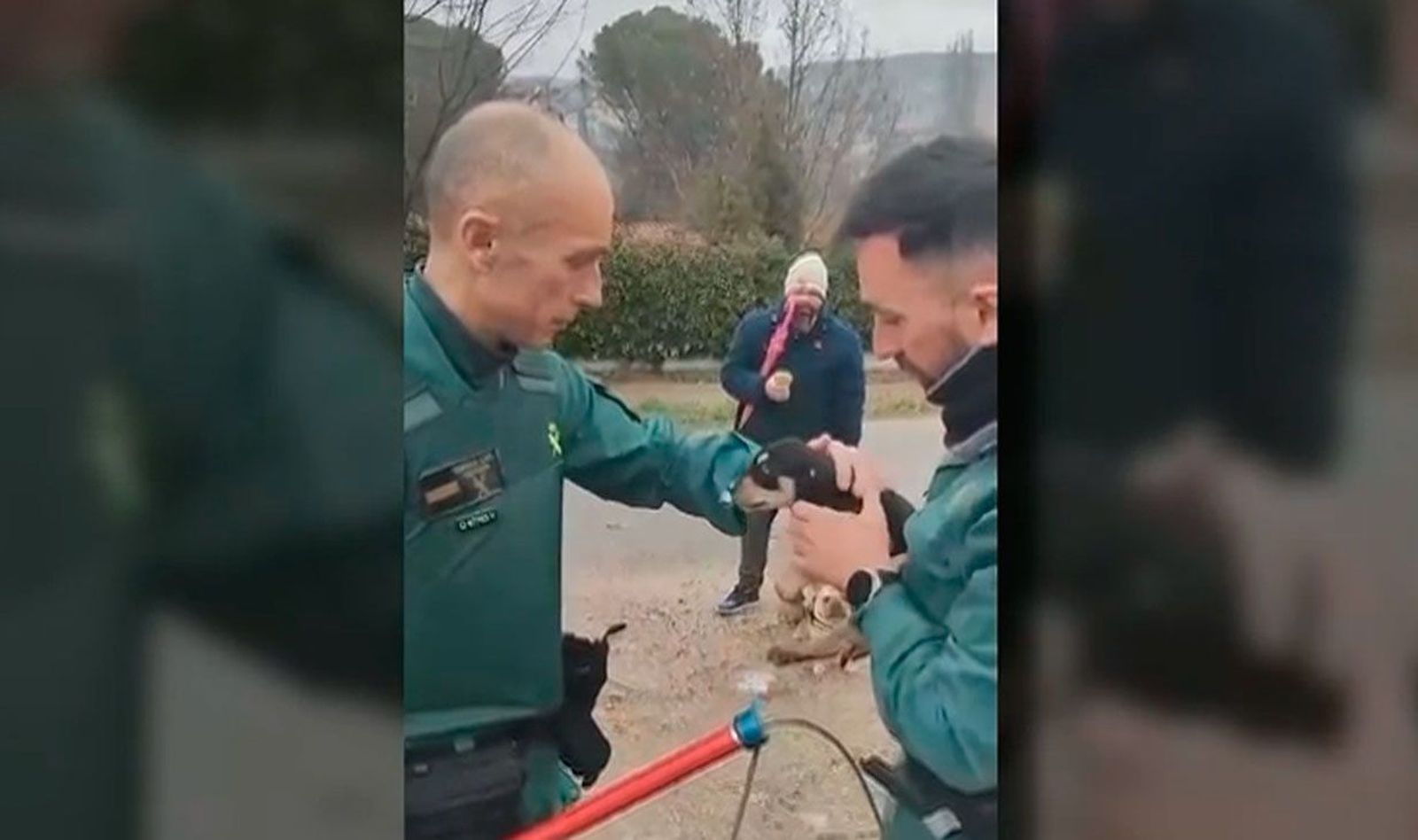 La Guardia Civil rescata un cachorro de un contenedor subterráneo en Perales de Tajuña